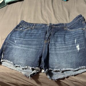 Terra & Sky Women's Blue Jean Shorts